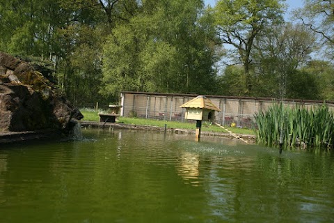 Chetwynd Firs Boarding Kennels & Cattery