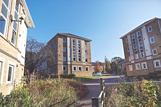 University Village