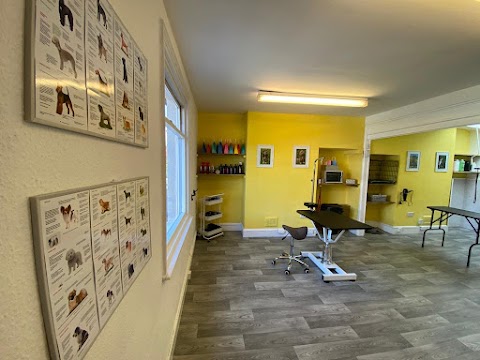 The Loft Dog Grooming