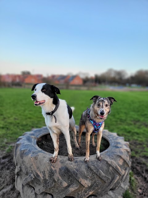 Molescroft Manor Secure Dog Walking Field