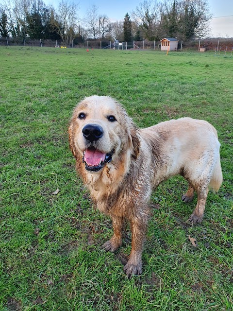 Hounds & Bounds Paws Paddock secure dog field