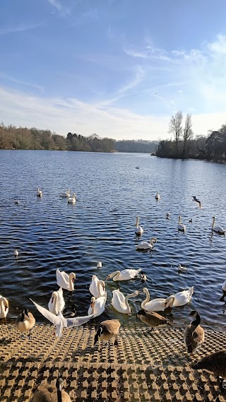 Coate Water Country Park