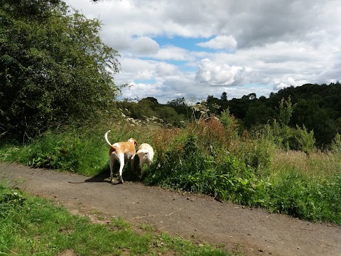 Almondell Country Park BroxBurn East Entrance