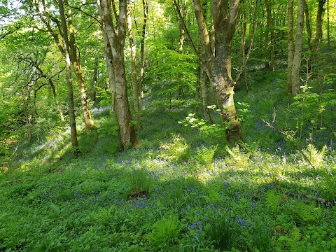 Cumbernauld Glen Wildlife Reserve