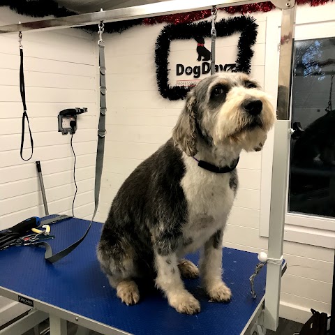 Dogdayz Professional Dog Grooming