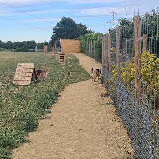 Paw Paddock - Portsdown Hill