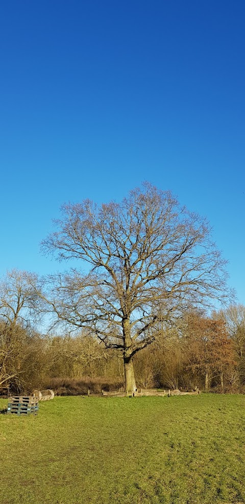 The Hurst Water Meadow Trust