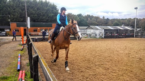 Silvermere Equestrian Centre's Riding School