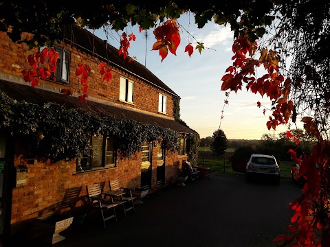 Oak Tree Farm