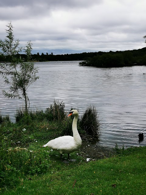 Seven Lochs Wetland Park