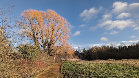 University of Reading