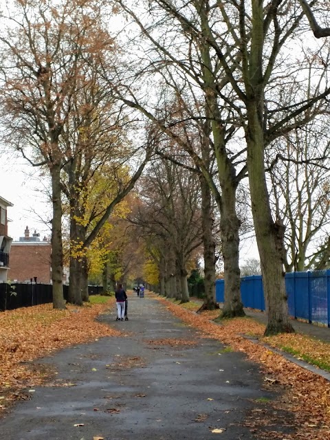 Dukes Meadows Children's Centre