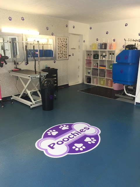 Poochies Dog Grooming Cardiff