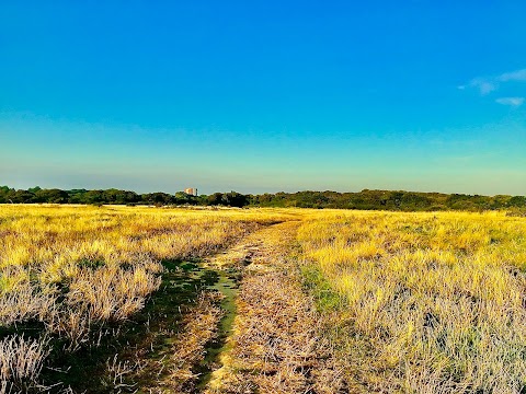 Alver Valley