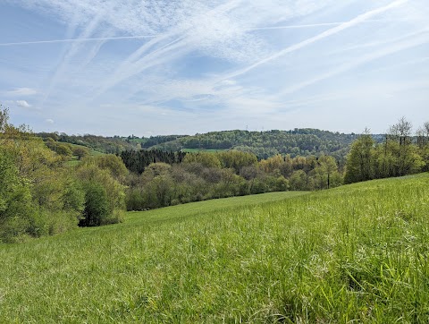 Colerne Park and Monk's Wood