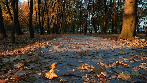 Парк-пам’ятка садово-паркового мистецтва садиби І.М. Терещенка