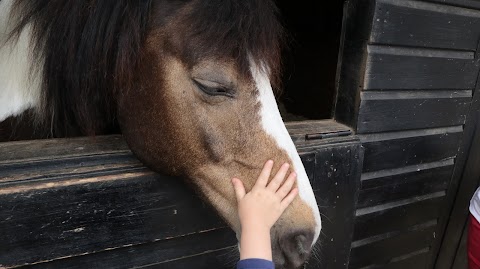 Bury Farm, Chiltern Equine Clinic