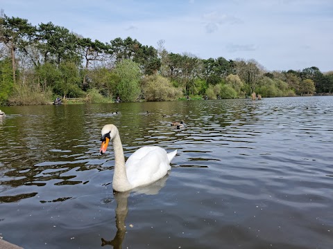 Shipley Country Park