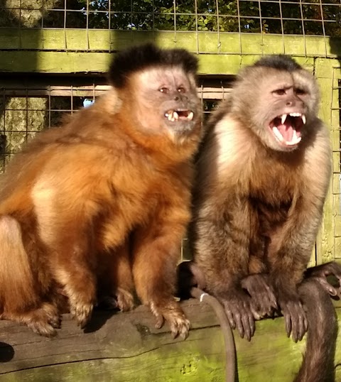 Gentleshaw Wildlife Centre