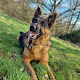 Photo of Paws Of Yorkshire Pet Care - 138 Magnolia Road, Seacroft, Leeds LS14 6WR, United Kingdom