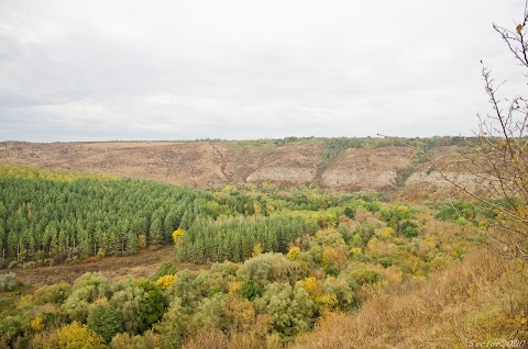 Китайгородське відслонення