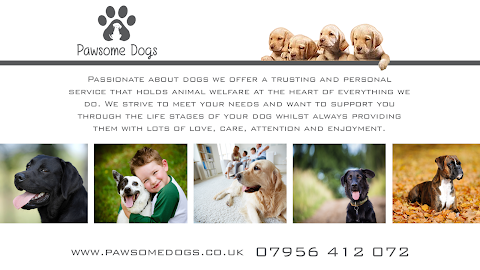 Pawsome Dogs - Dog Grooming Woodley