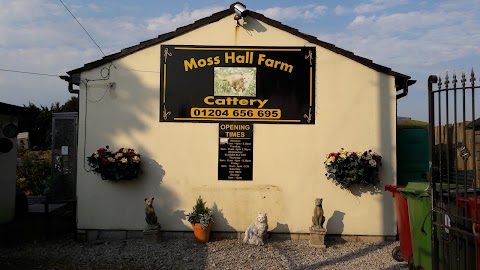 Moss Hall Farm Cattery