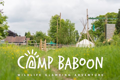 Camp Baboon