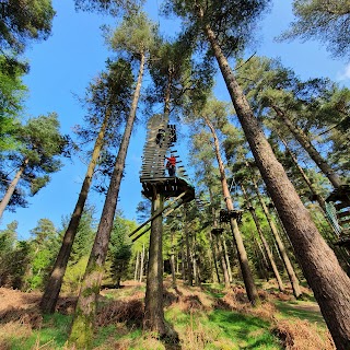 Zipit Forest Adventures