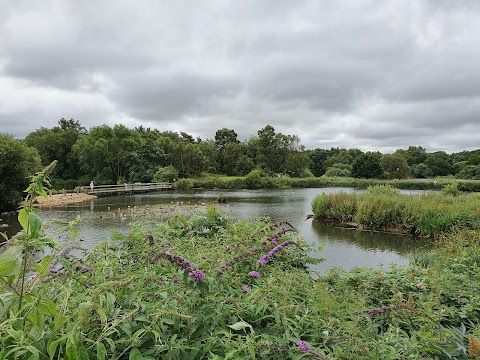 Pensthorpe