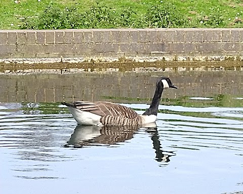 Perry Hall Park