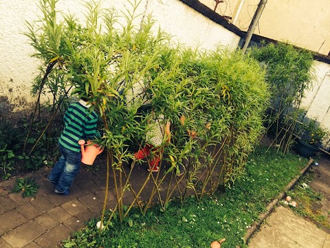 The Learning Zone Nursery