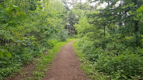 Roath Park Wild Gardens