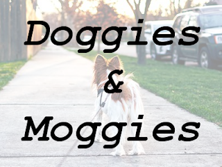 Doggies & Moggies