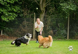 Upperwood Boarding Kennels