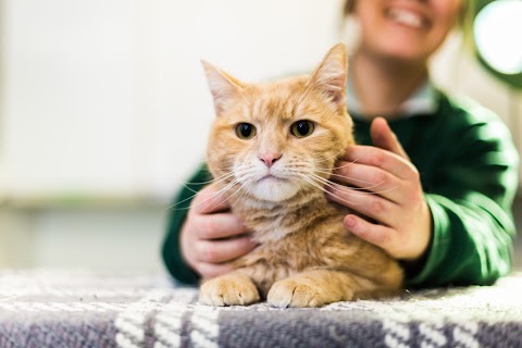 Richmond House Veterinary Centre