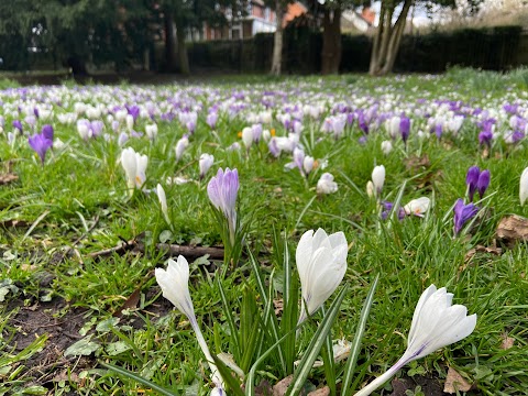 Bournville Park