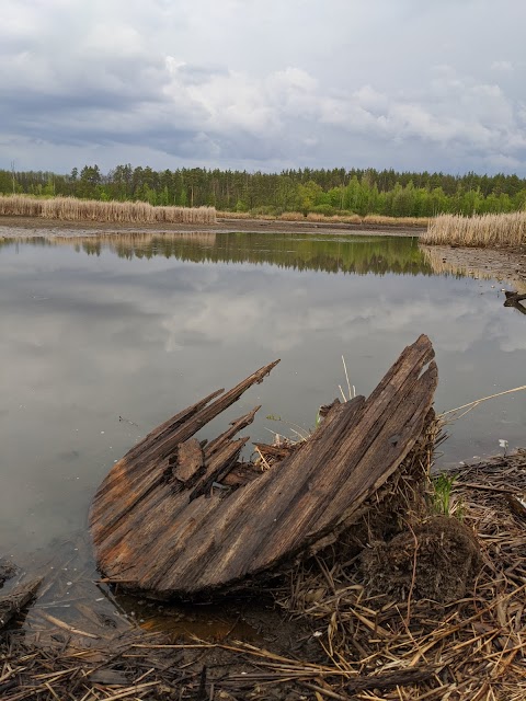 Ландшафтний заказник Урочище “Мутвицьке”