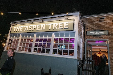 Aspen Tree