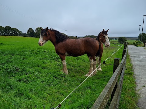 Peggyslea Farm Visit Scotland 4 star Bed and Breakfast