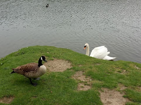 Horton Bank Country Park