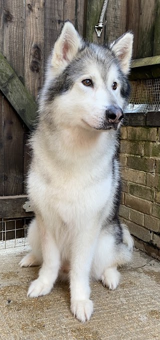 Simply Paws Grooming