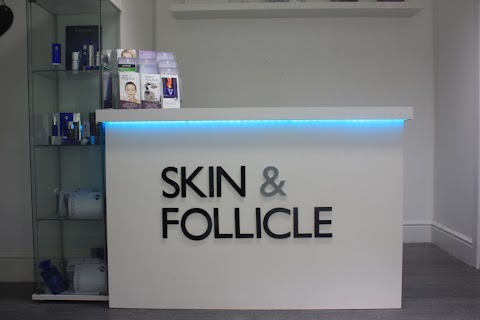 Skin and Follicle