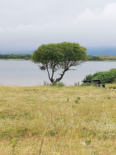 Kenfig Pool - South Hide