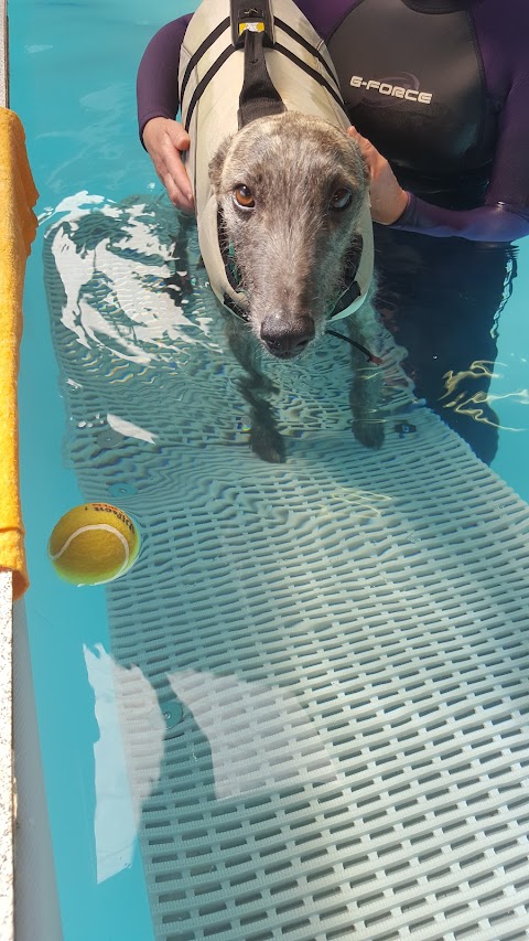 East Sussex Canine Hydrotherapy Centre