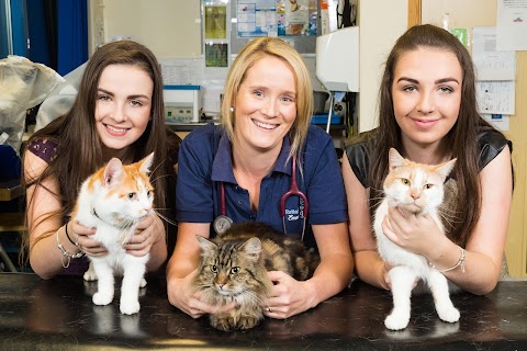 Rutland House Veterinary Clinic & Aquazone, Freckleton