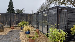 New Passage Cat Kennels