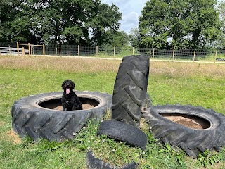 Elementary Dog Park