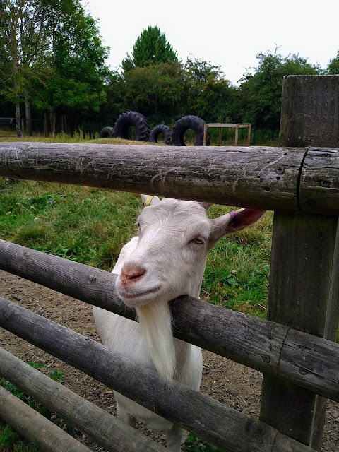 Fairfield Animal Centre