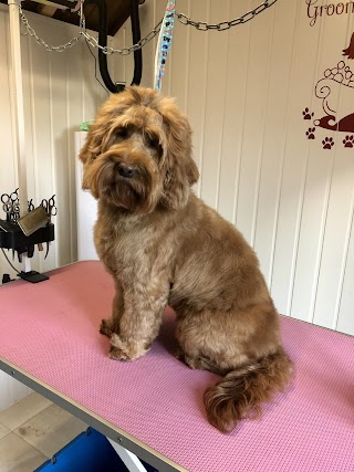 Sarah @ Doodles and poodles dog grooming